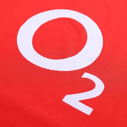 02-04 Arsenal LJUNGBERG #8 Retro Jersey Home