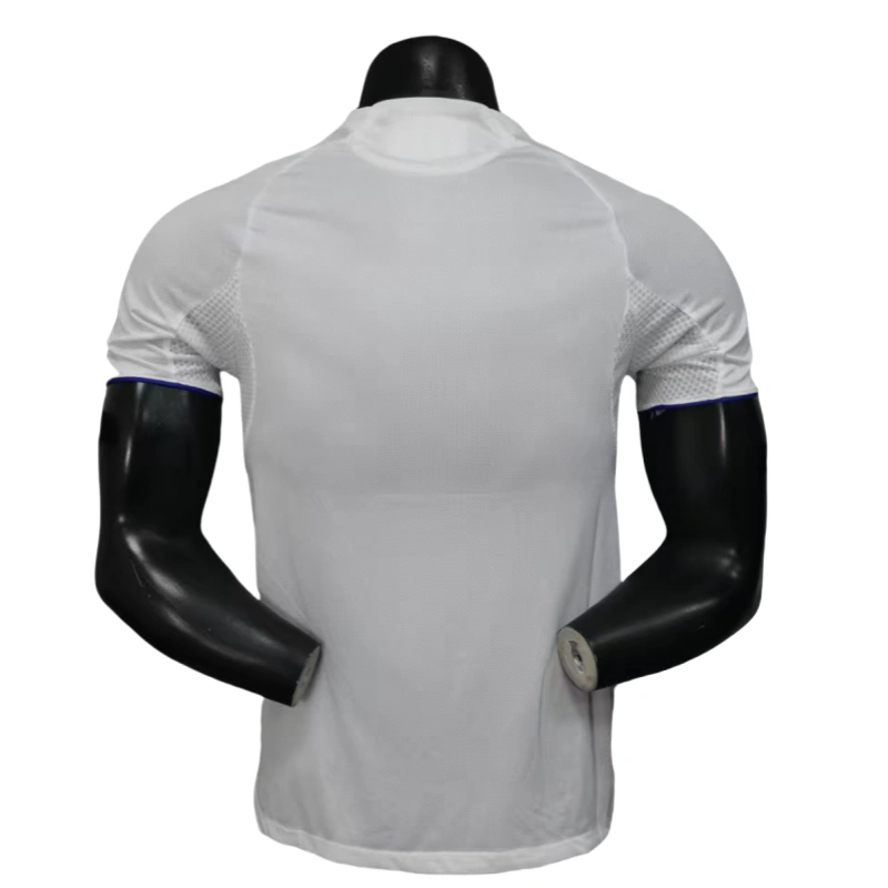 2025-26 olympique Lyonnais Home football jersey - player version