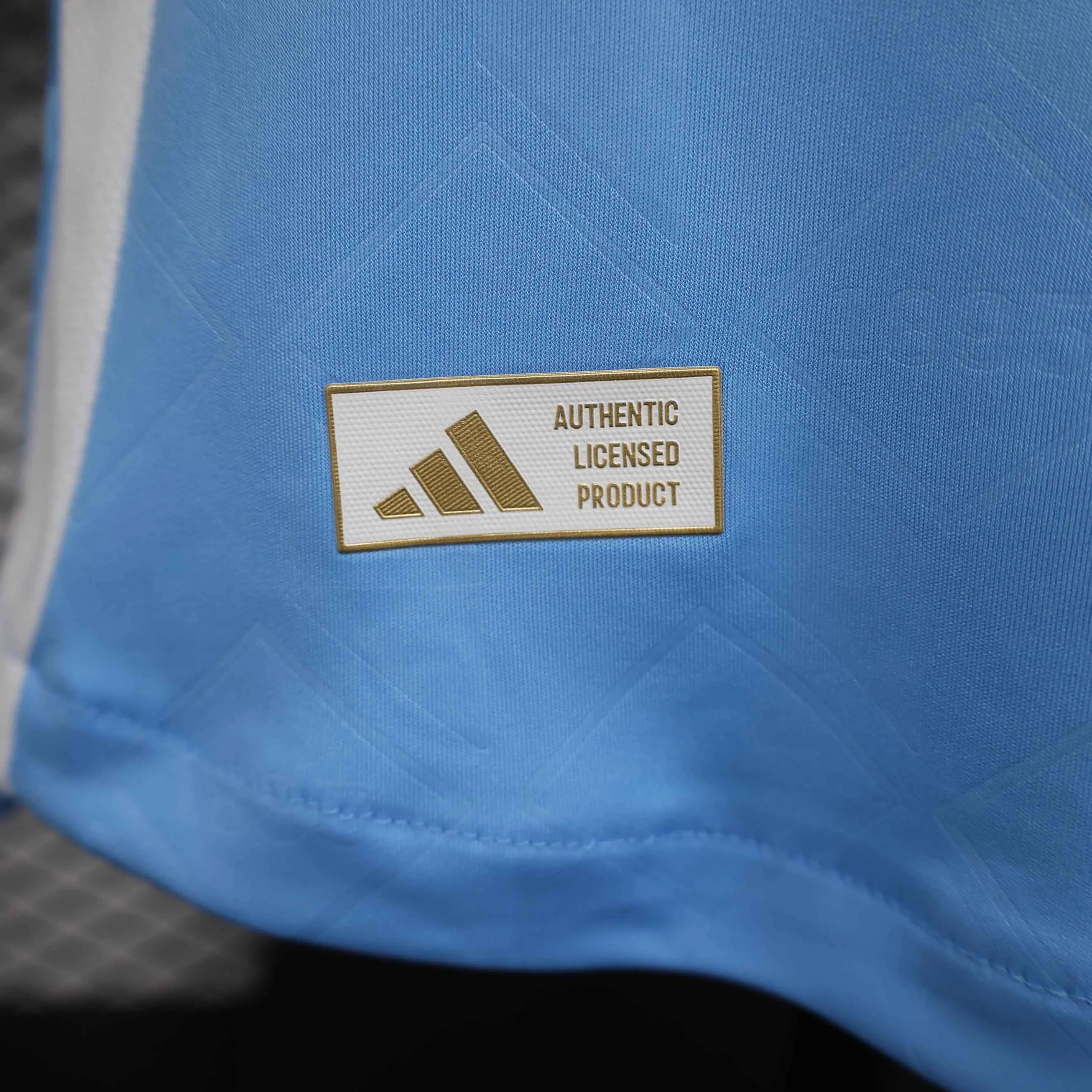 Belgium Away Jersey Player Version Euro 2024