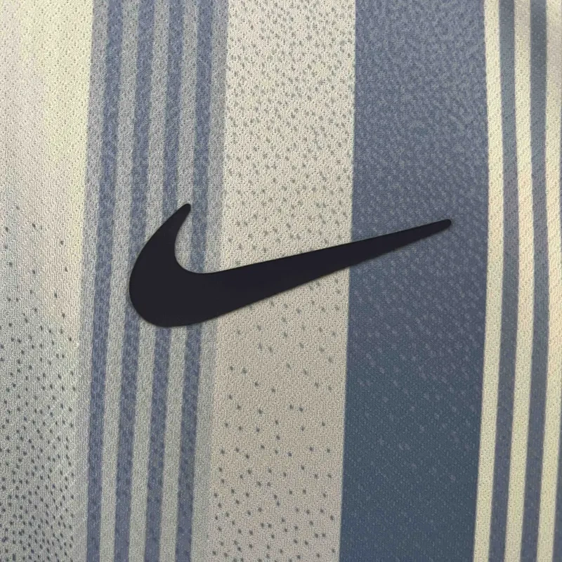 24-25 Tottenham Hotspur Away Soccer Jersey