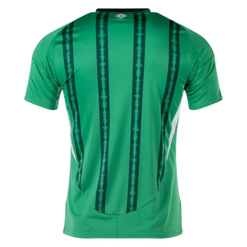 Northern Ireland Home Jersey 2024